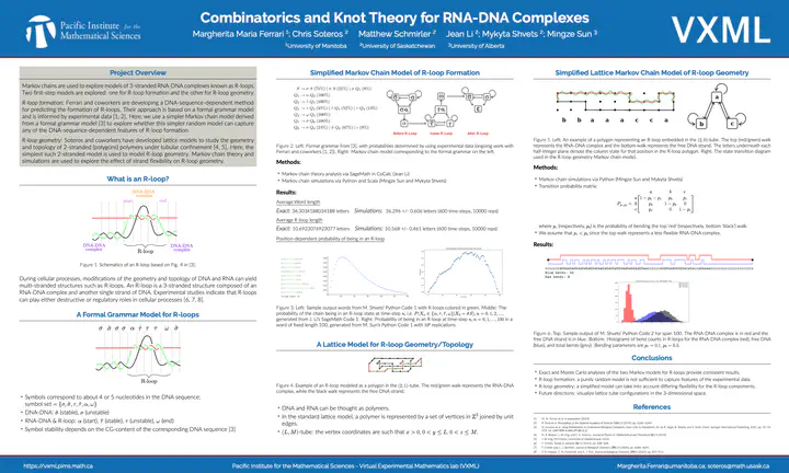 Poster for Combinatorics and Knot Theory for RNA-DNA Complexes