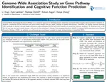 Genome-wide association study on gene pathway identification and cognitive function prediction